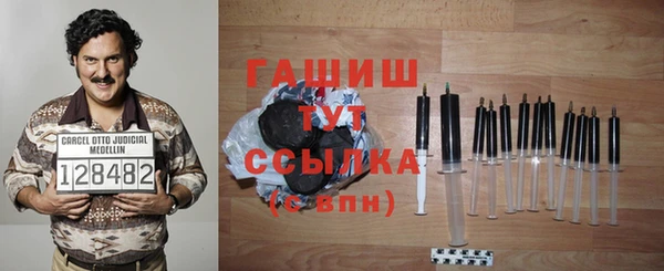 a pvp Бородино