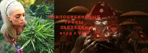 a pvp Бородино