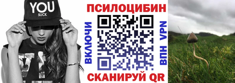 маркетплейс формула Далматово Галлюциногенные грибы Cubensis